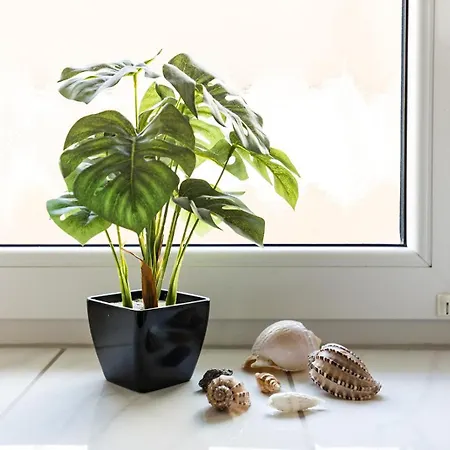 Apartment Kiefernweg App 3 Norderney