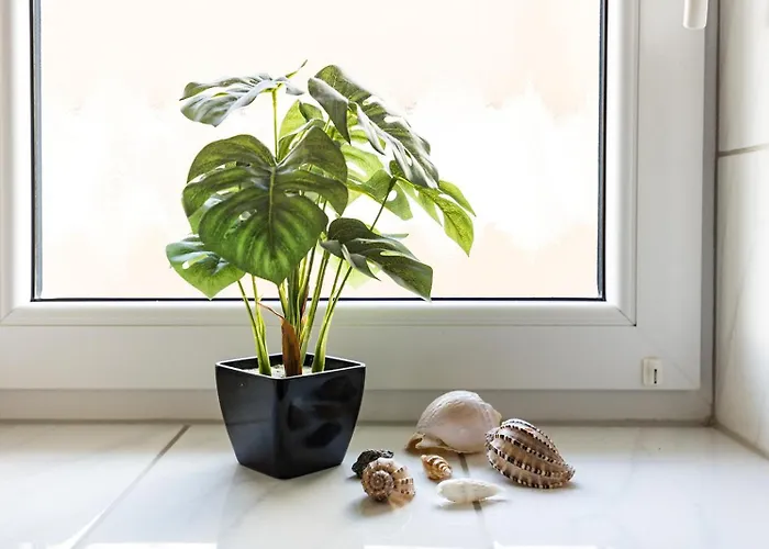 アパート Kiefernglueck App 3 ノルダーナイ